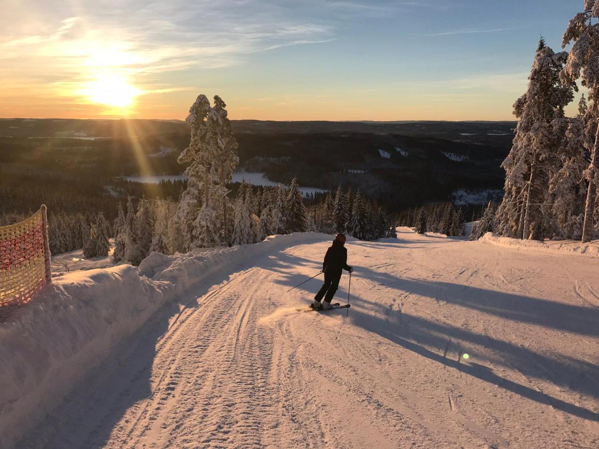 Raemsbyns Fritidsomrade - Den Perfekta Platsen Foer Avkoppling Vila Idkerberget Exterior foto